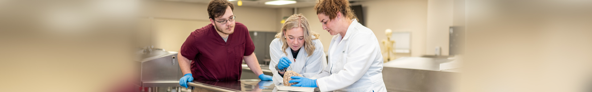 Occupational Therapy Programs