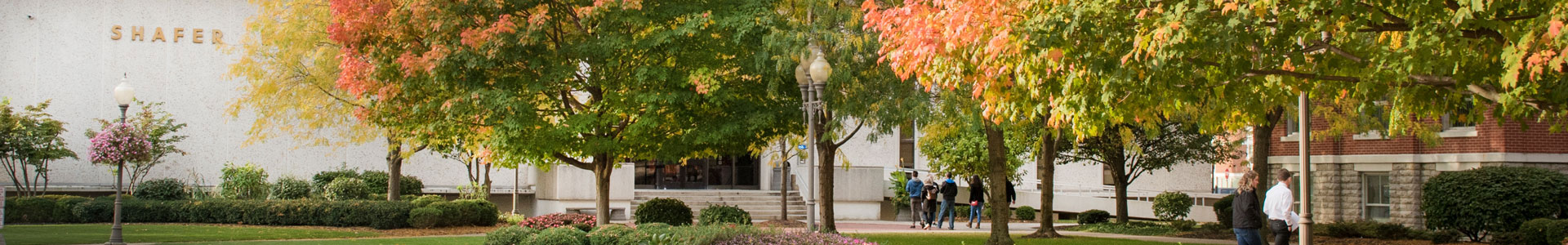 shafer-library