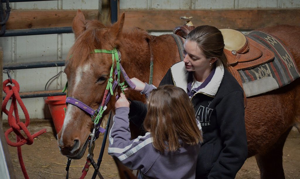 Social Work u0026 Equestrian Studies