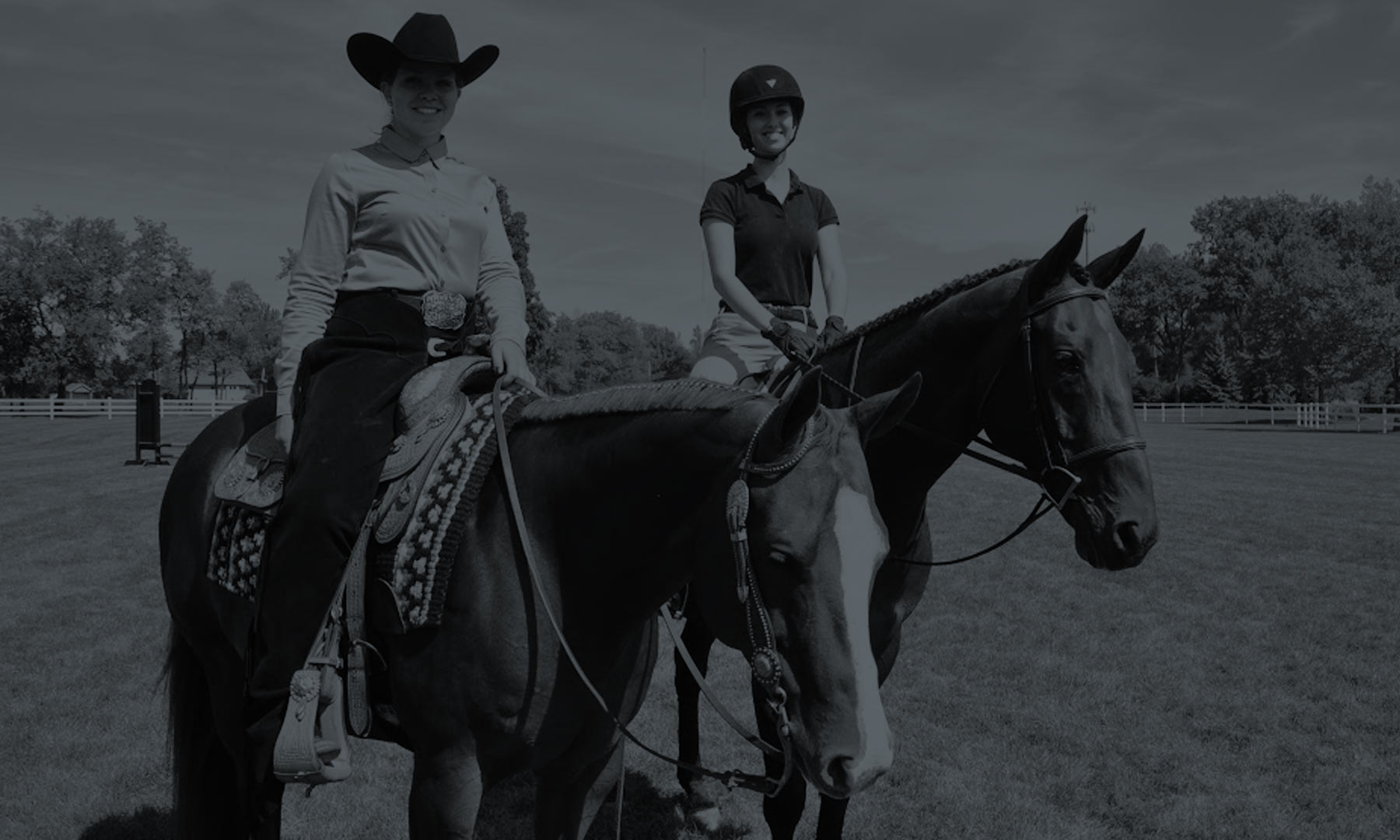 Western-and-English-Rider