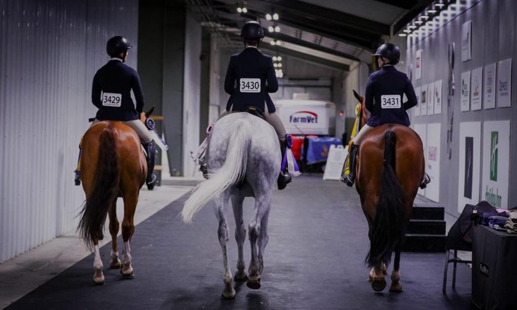 USEF Competitions
